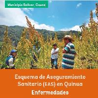 Esquema de Aseguramiento Sanitario (EAS) en Quinua Enfermedades : Municipio Bolívar, Cauca 