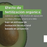 Efecto de fertilización orgánica sobre la calidad de frutos de aguacate cv. Hass (Persea americana Mill) bajo un enfoque de formación técnica rural basada en proyectos