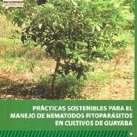 Prácticas sostenibles para el manejo de nematodos fitoparásitos en el cultivo de guayaba-