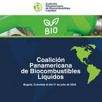 Coalición Panamericana de Biocombustibles Líquidos. Segunda declaratoria