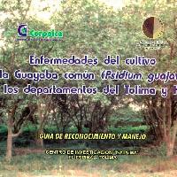 Enfermedades de la guayaba comun (Psidium guajava L.) en los departamentos del Tolima y Huila :guía de reconocimiento manejo -