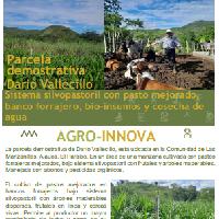 Sistema silvopastoril con pasto mejorado, banco forrajero, bio-insumos y cosecha de agua, Comunidad Manzanillas, Alauca, El Paraíso