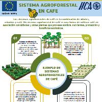 Sistema agroforestal en café