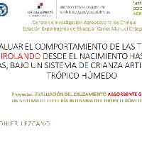 Evaluar el comportamiento de las terneras girolando desde el nacimiento hasta los 90 dias, bajo un sistema de crianza artificial en el trópico húmedo