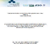 Evaluación de la efectividad de extractos botánicos comerciales y artesanales, en el control de mosca blanca (Bemisia tabaco) en el cultivo de tomate a campo abierto, en dos localidades del departamento de Chiquimula