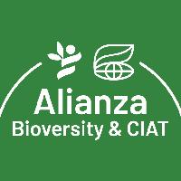 Alianza Bioversity & CIAT