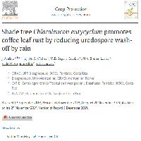 Shade tree Chloroleucon eurycyclum promotes coffee leaf rust by reducing uredospore wash-off by rain