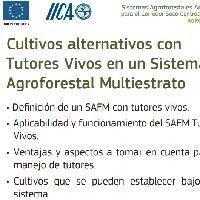 Cultivos alternativos con tutores vivos en un sistema agroforestal multiestrato