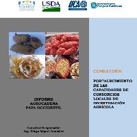 Informe Final Agrocadena Papa Occidente