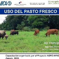 Uso del pasto fresco