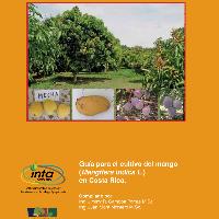 Guía para el cultivo del mango (Mangifera indica L.) en Costa Rica