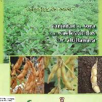 Corpoica Sabana 7: variedad de soya para suelos ácidos de la altillanura-