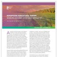 Repurposing agricultural support: Modeling outcomes of different approaches