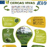 Cercas vivas