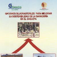 Opciones silvopastoriles para mejorar la sostenibilidad de la ganadería en el Caquetá-
