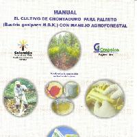 El cultivo de chontaduro (Bactris gasipaes H.B.K) para palmito con manejo agroforestal Manual-