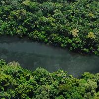 Valor agregado de Productos Forestales Sostenibles en la Región Andina