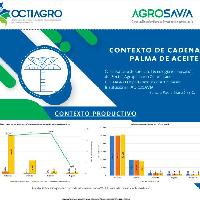 Contexto de cadena palma de aceite