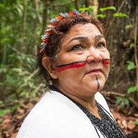 Silene Tonkyre, Katia 